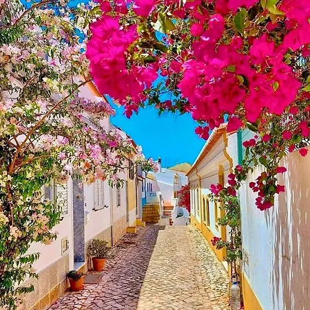 Sea View Downtown - *